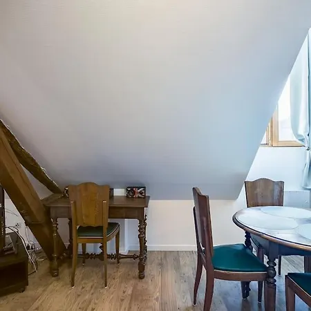 Apartment Les Grisettes -charme Et Histoire -prox Cathedrale *