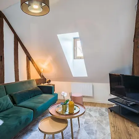 Apartment Les Grisettes -charme Et Histoire -prox Cathedrale