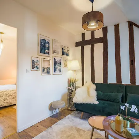 Les Grisettes -charme Et Histoire -prox Cathedrale *