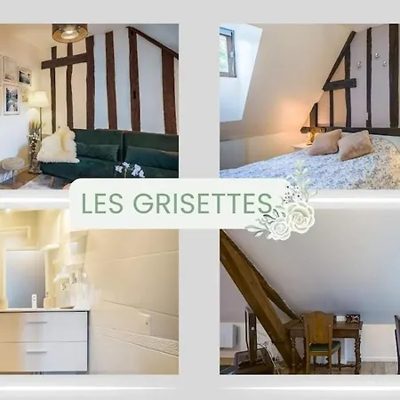 Les Grisettes -charme Et Histoire -prox Cathedrale Apartment